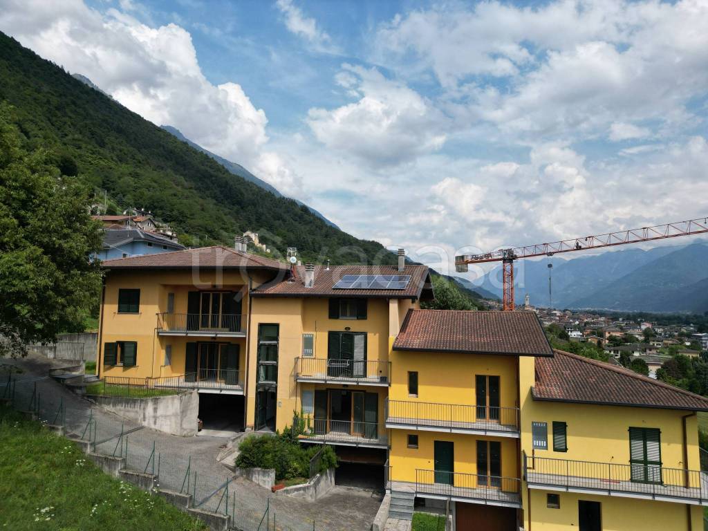 immagine annuncio 2 di 15