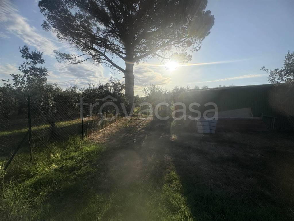 immagine annuncio 5 di 13
