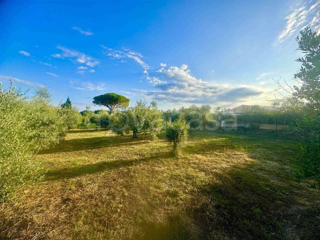immagine annuncio 6 di 13