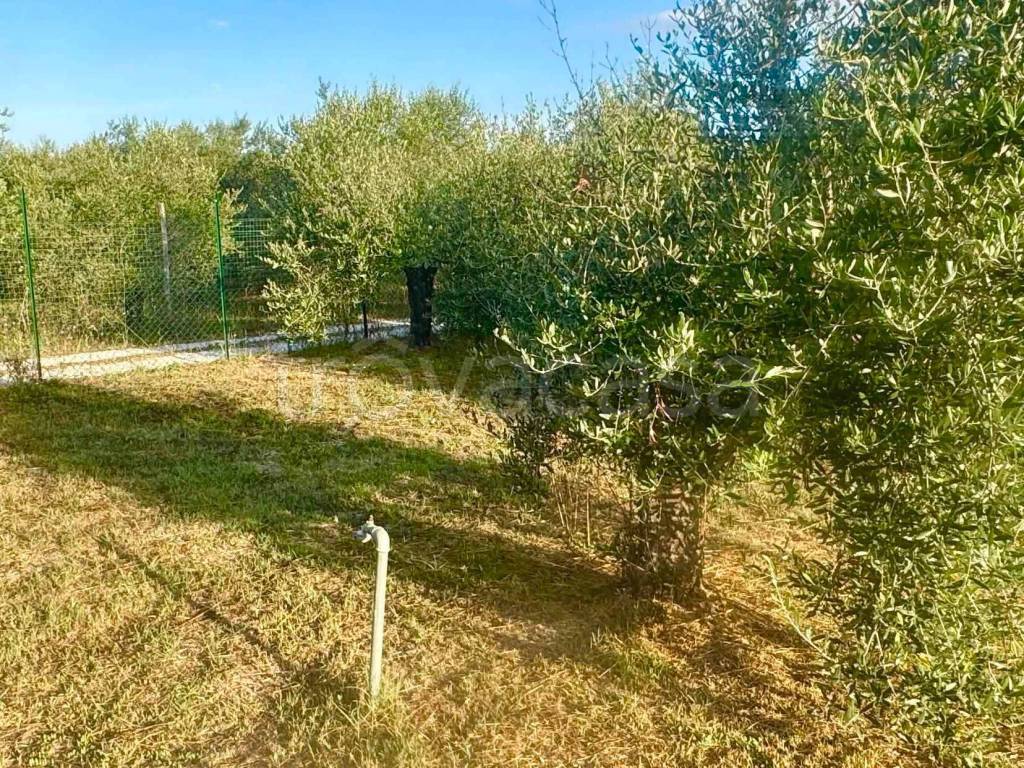 immagine annuncio 8 di 13