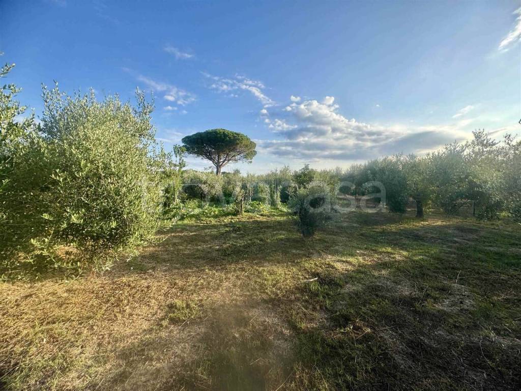 immagine annuncio 9 di 13