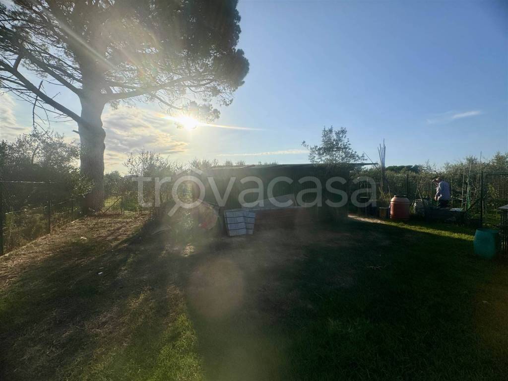 immagine annuncio 11 di 13