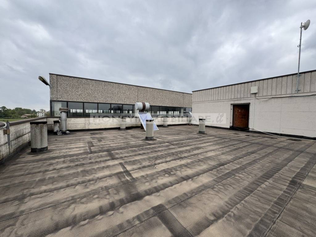 immagine annuncio 4 di 12