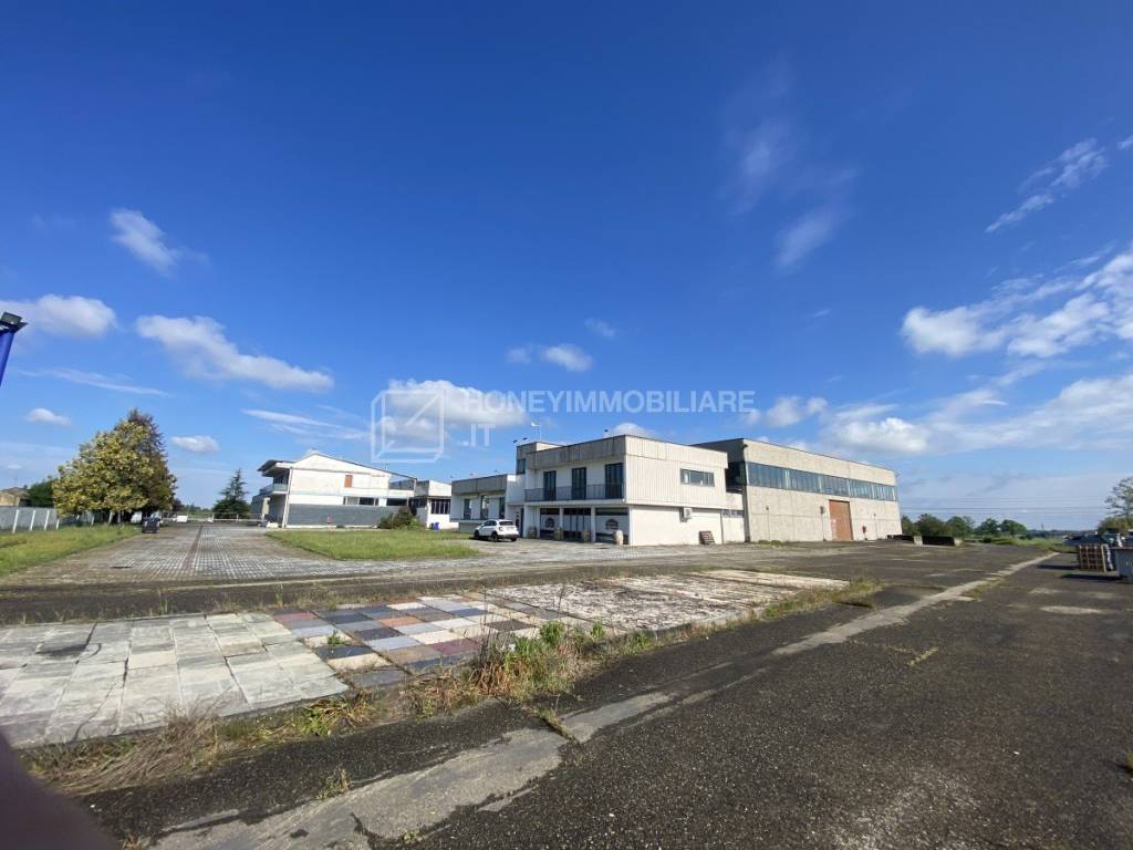 immagine annuncio 9 di 12