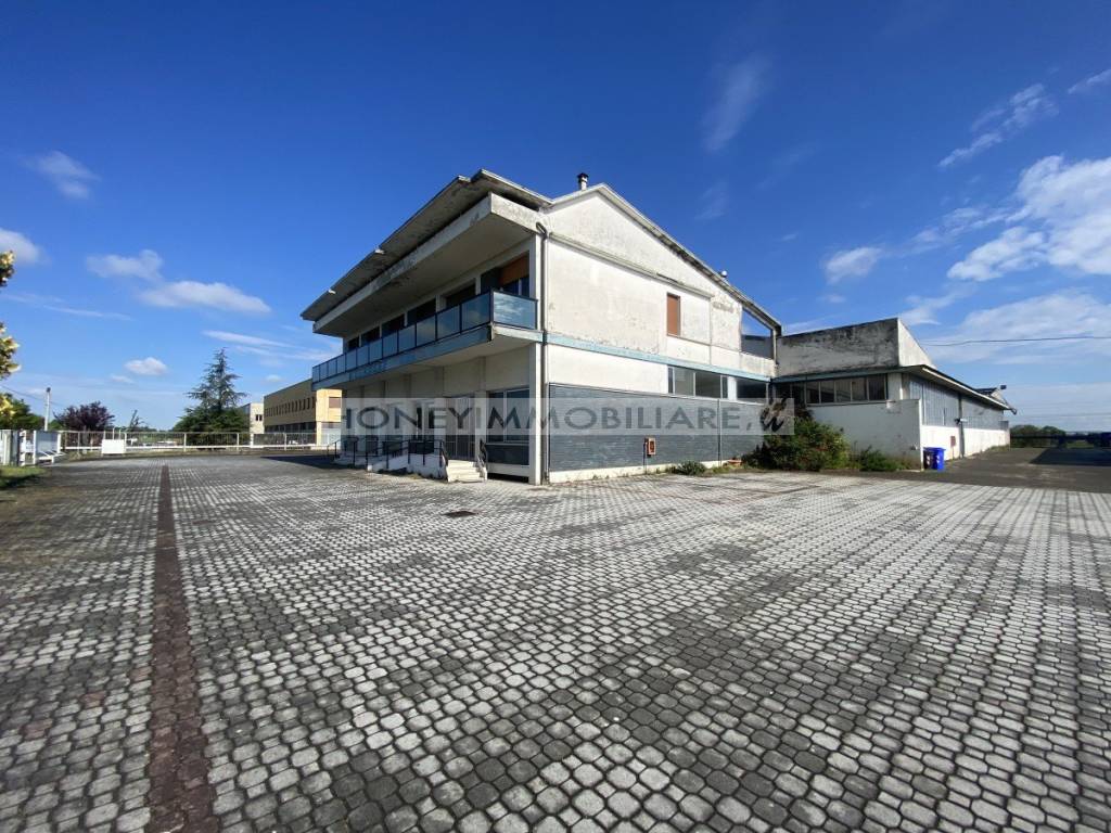 immagine annuncio 2 di 12