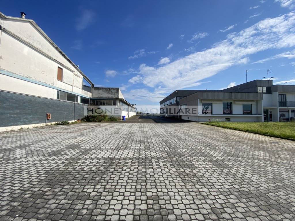 immagine annuncio 4 di 12