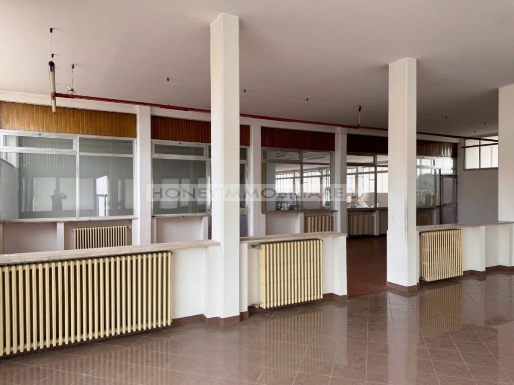 immagine annuncio 7 di 12