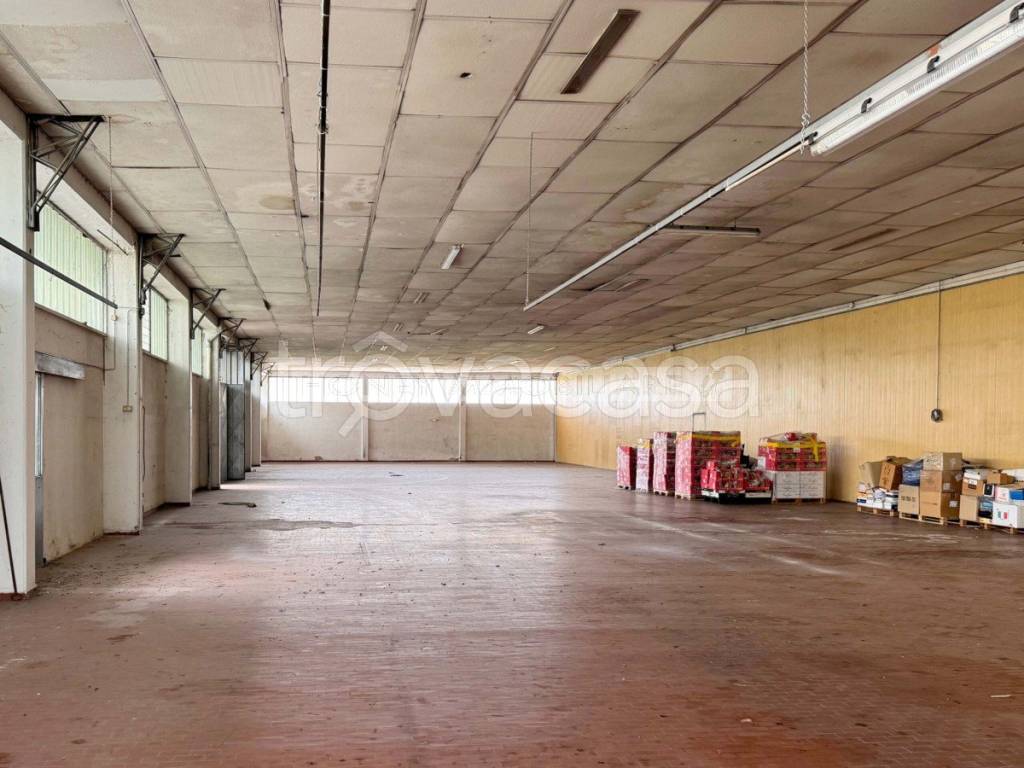 immagine annuncio 8 di 12