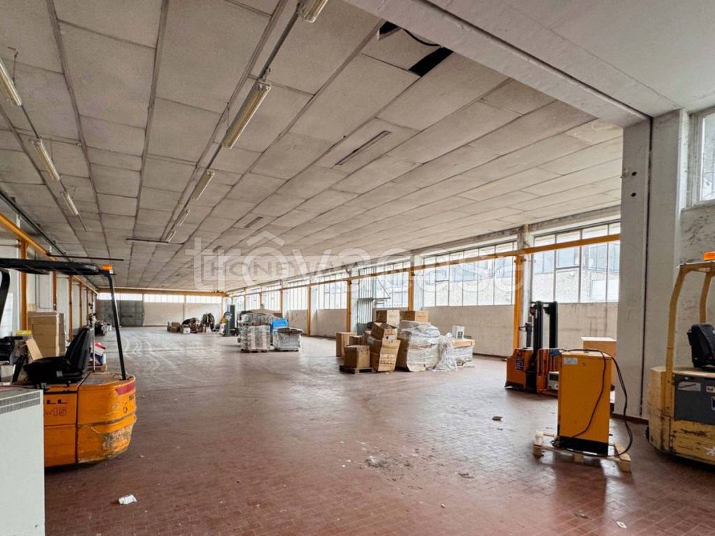 immagine annuncio 9 di 12