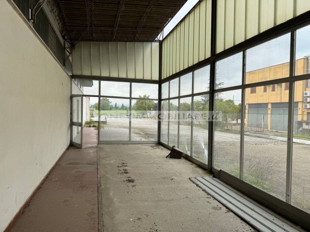 immagine annuncio 11 di 12