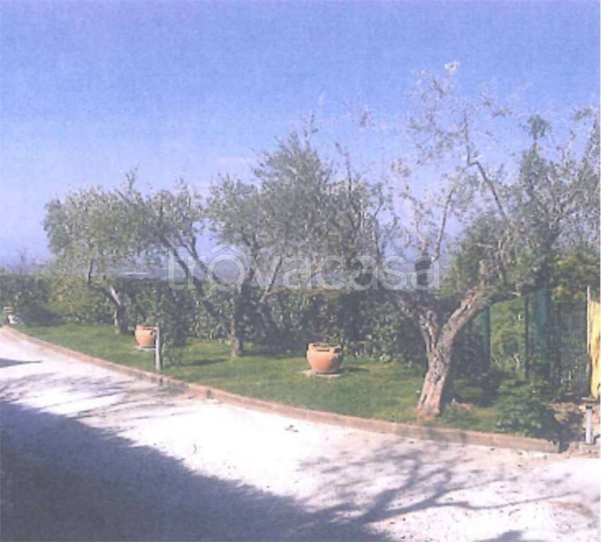 immagine annuncio 5 di 9