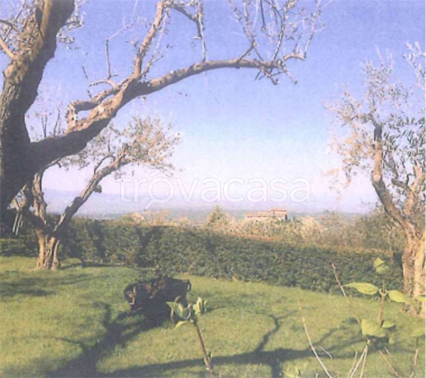 immagine annuncio 6 di 9