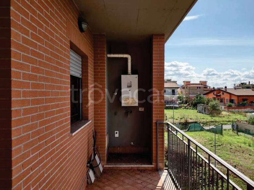 immagine annuncio 4 di 11