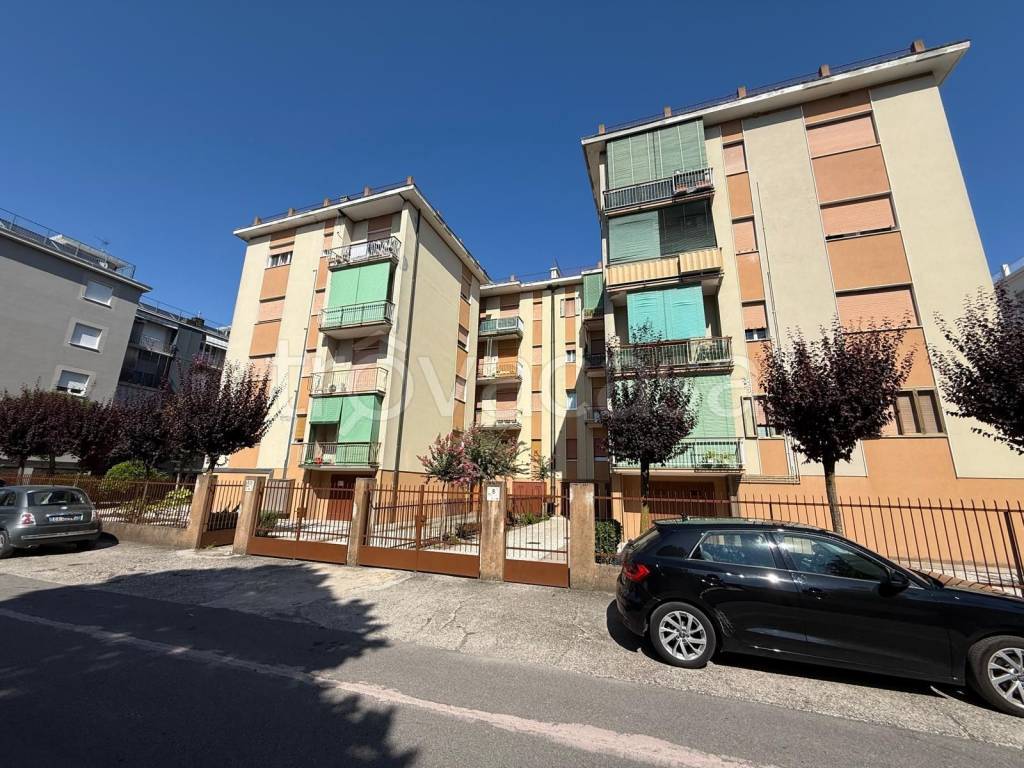 immagine annuncio 7 di 14