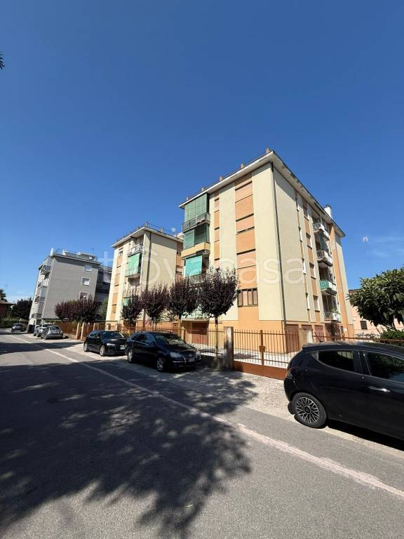 immagine annuncio 9 di 14