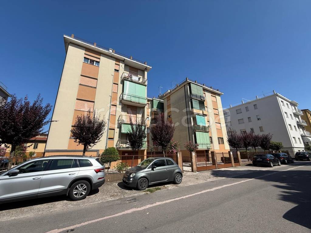 immagine annuncio 12 di 14