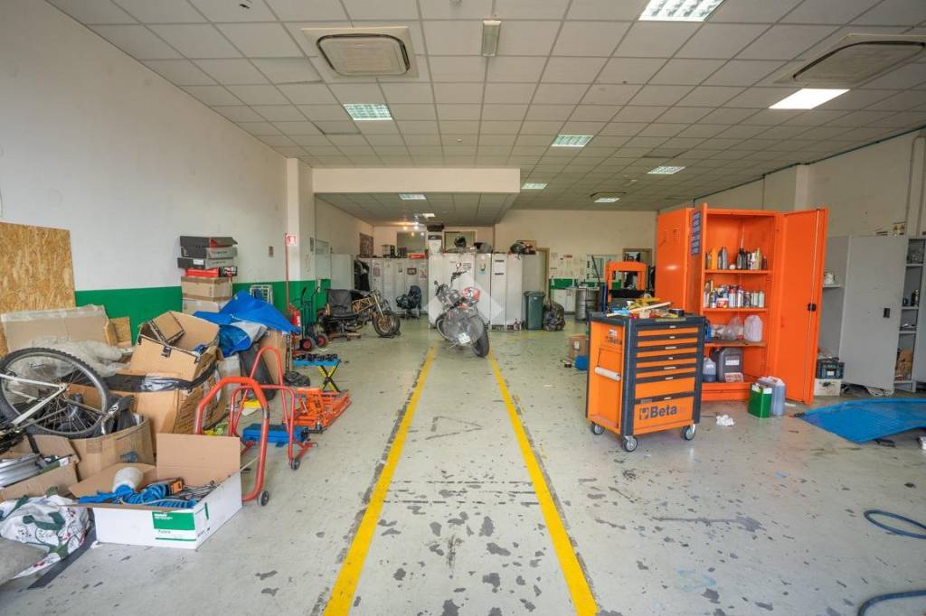 immagine annuncio 1 di 15