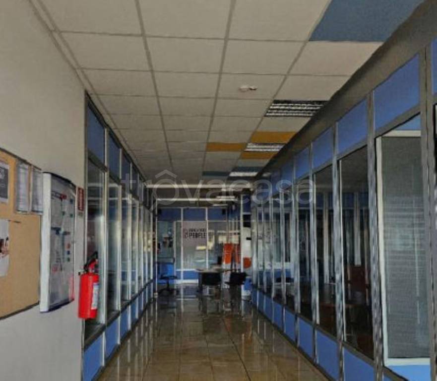 immagine annuncio 3 di 11