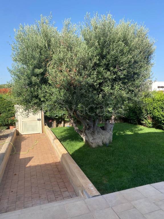 immagine annuncio 1 di 9