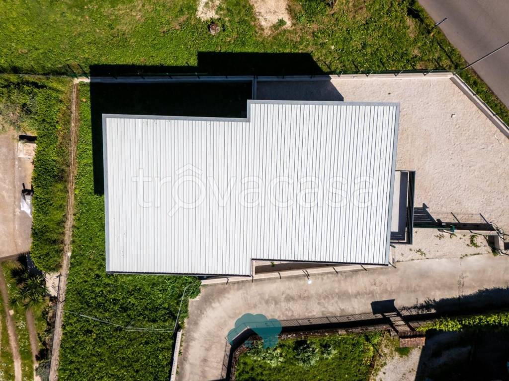 immagine annuncio 7 di 8