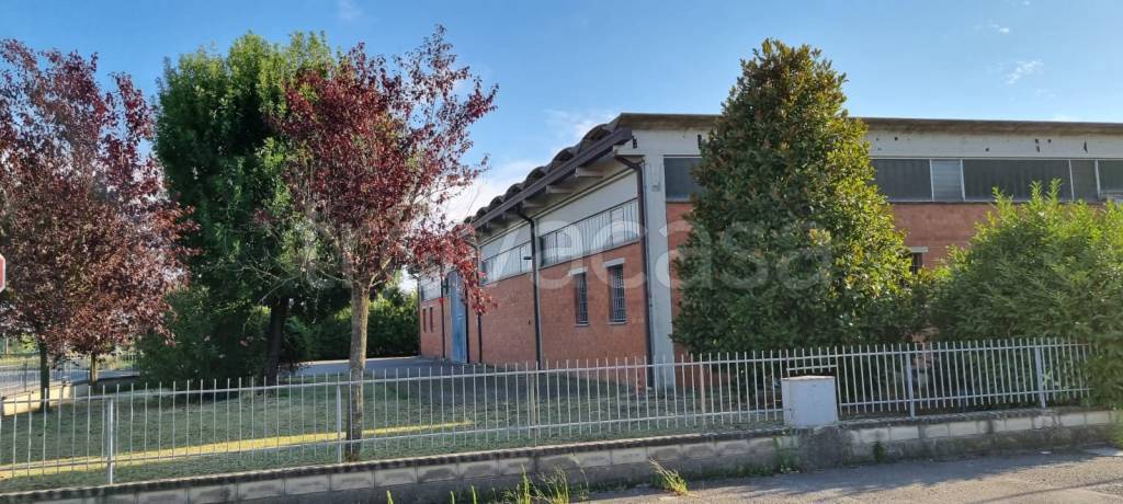 immagine annuncio 3 di 8