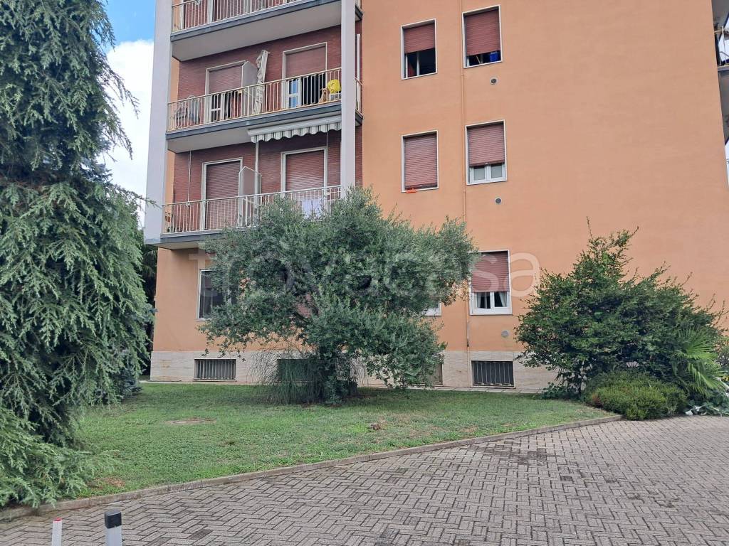 immagine annuncio 1 di 15