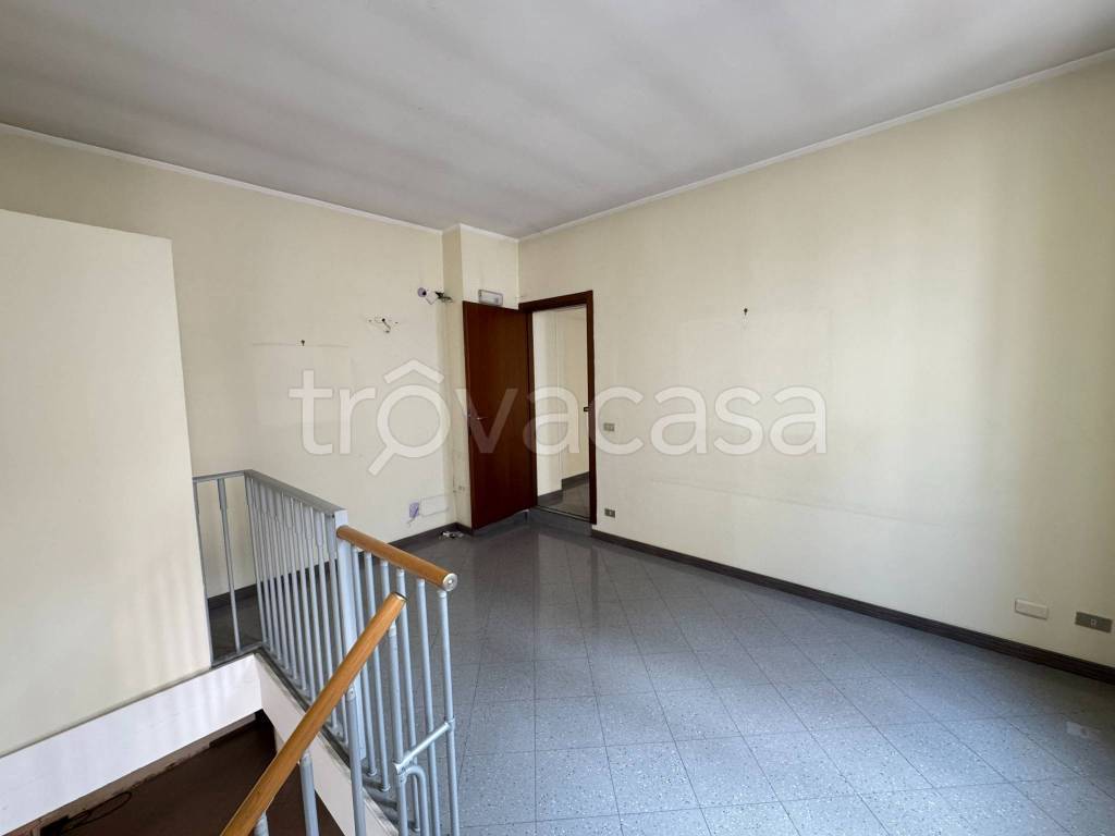 immagine annuncio 6 di 14