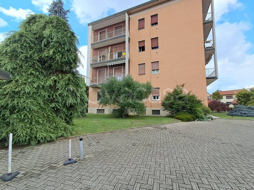 immagine annuncio 6 di 15