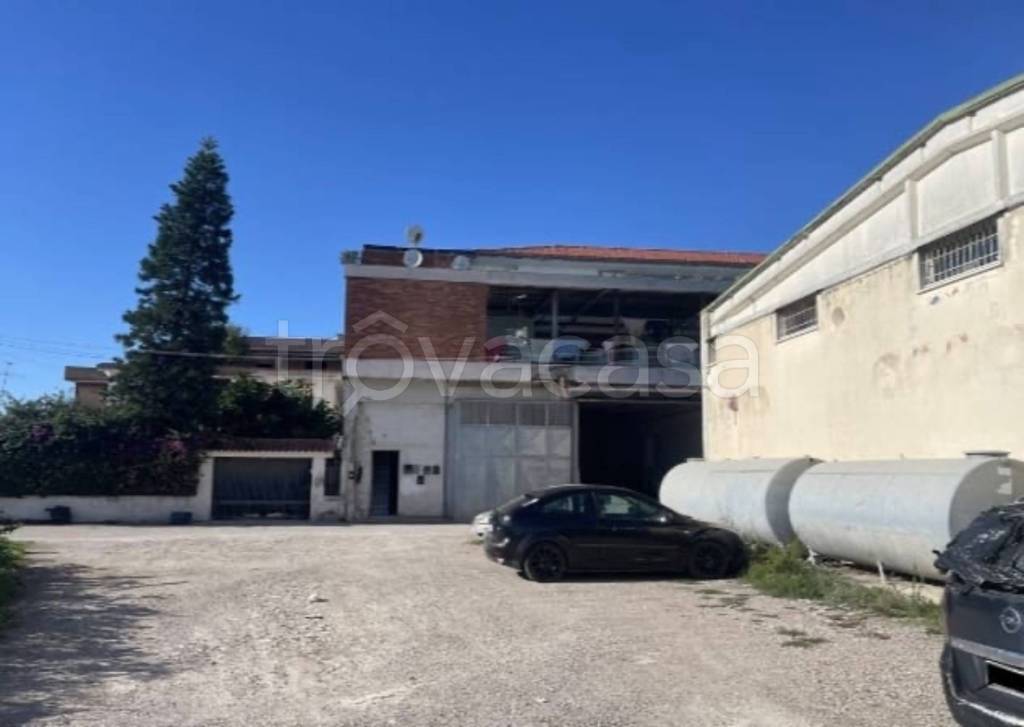 immagine annuncio 9 di 11