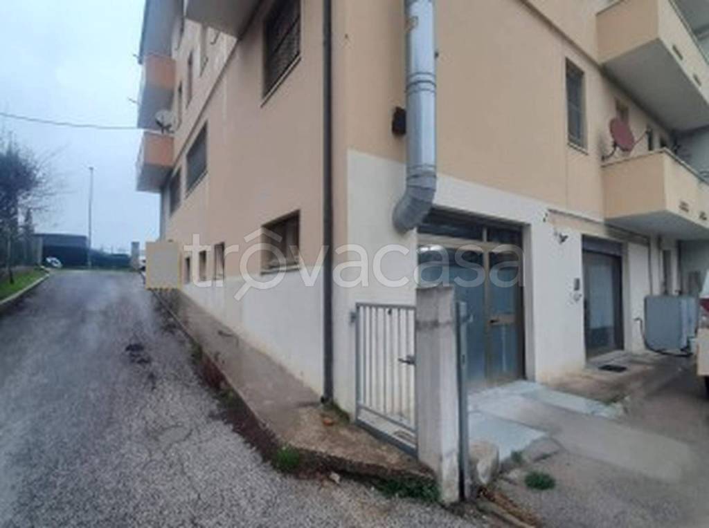 immagine annuncio 9 di 13