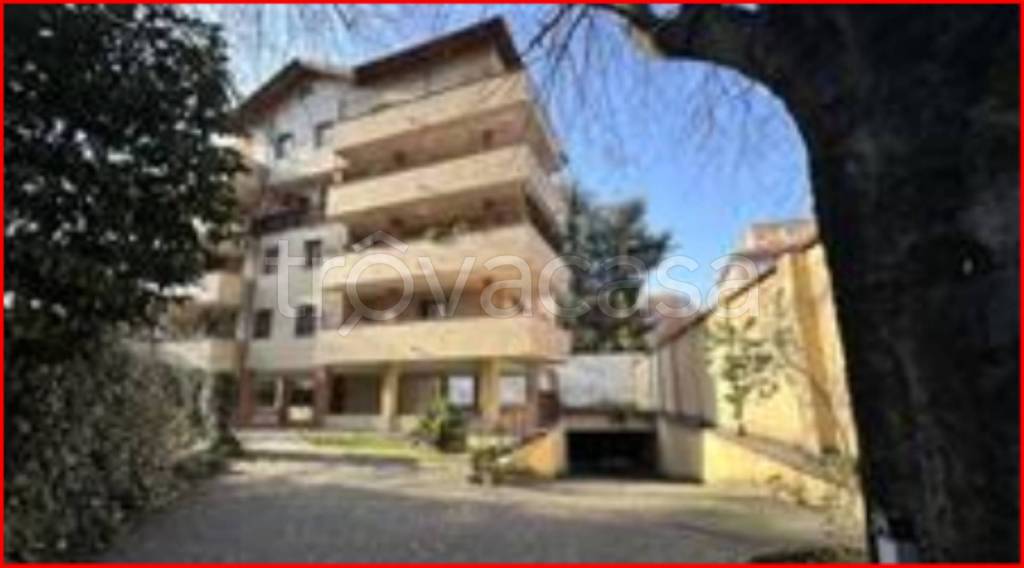 immagine annuncio 2 di 12