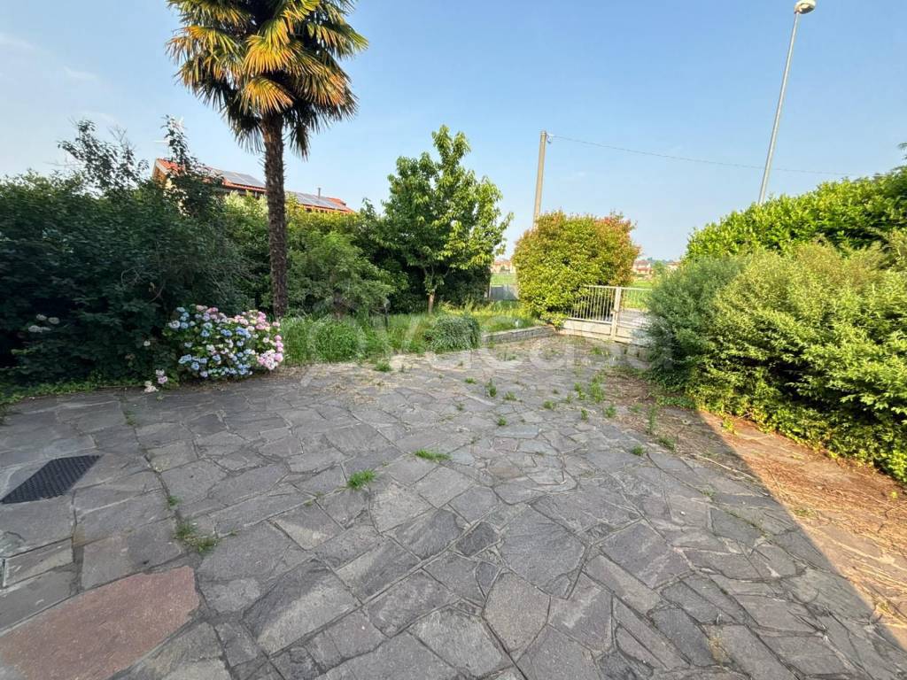 immagine annuncio 6 di 15