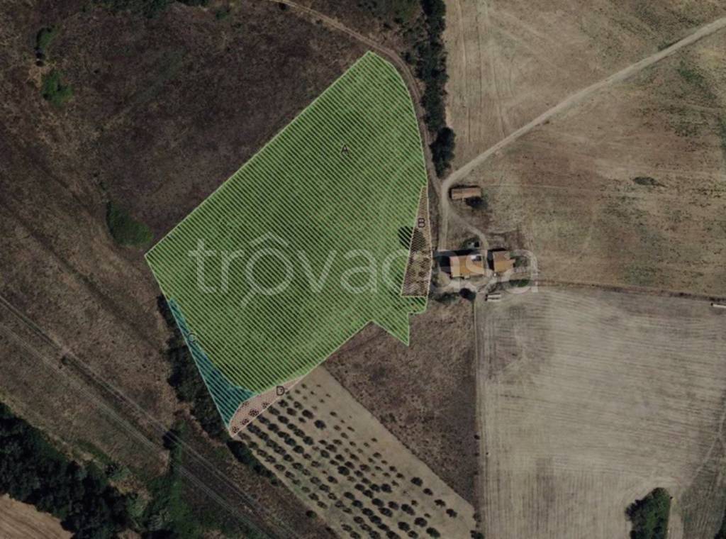 immagine annuncio 9 di 12