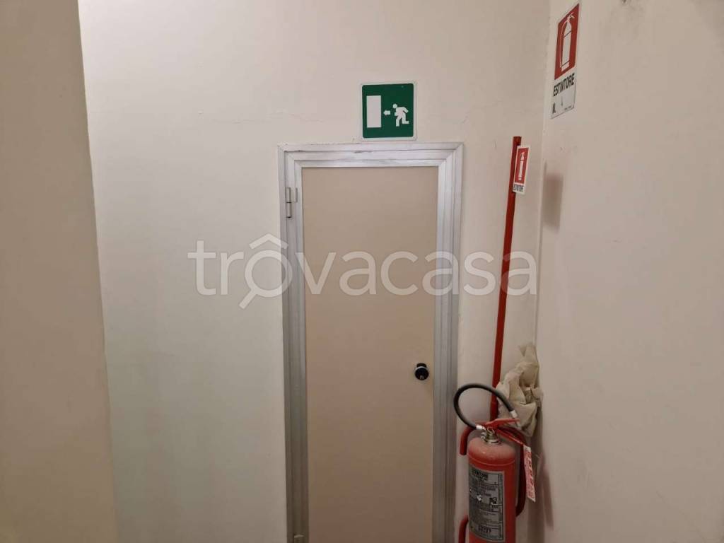 immagine annuncio 10 di 14