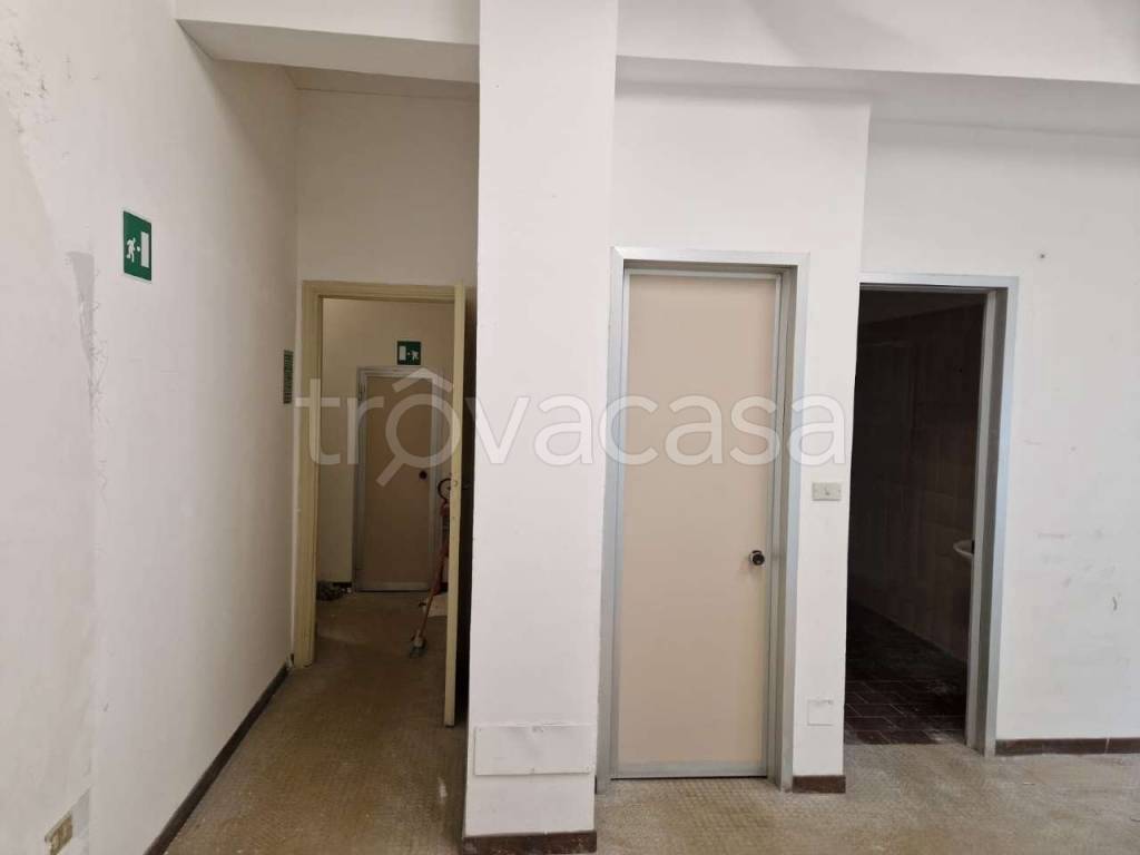 immagine annuncio 11 di 14
