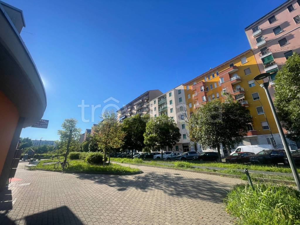 immagine annuncio 11 di 14