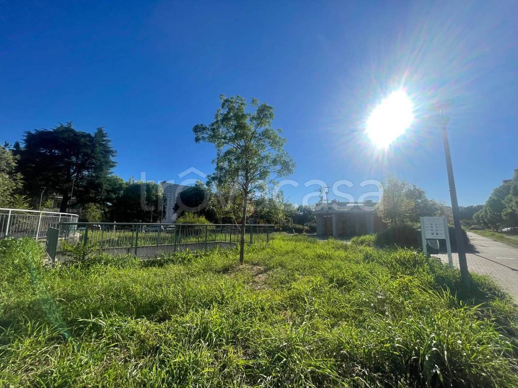 immagine annuncio 12 di 14