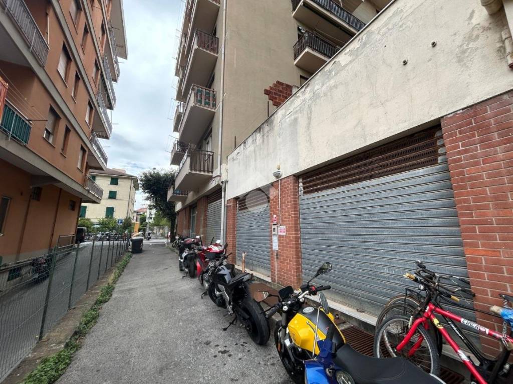immagine annuncio 2 di 3