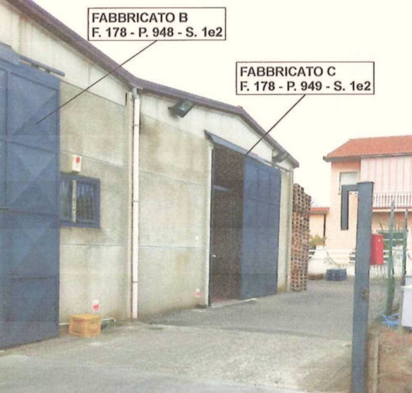 immagine annuncio 1 di 11