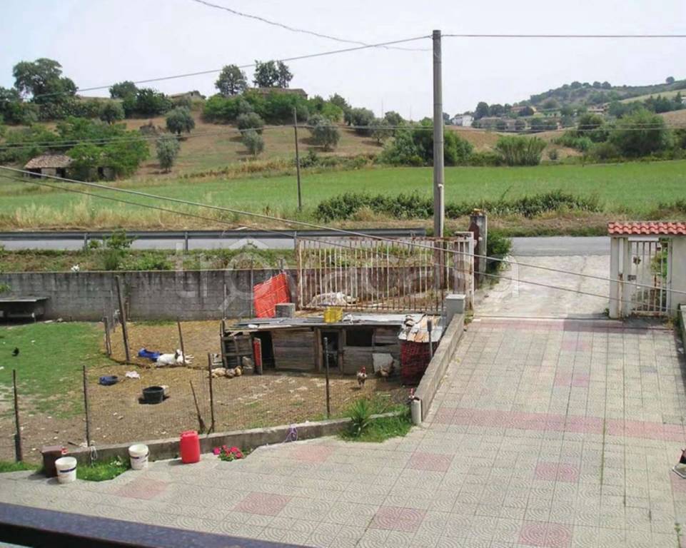 immagine annuncio 9 di 12