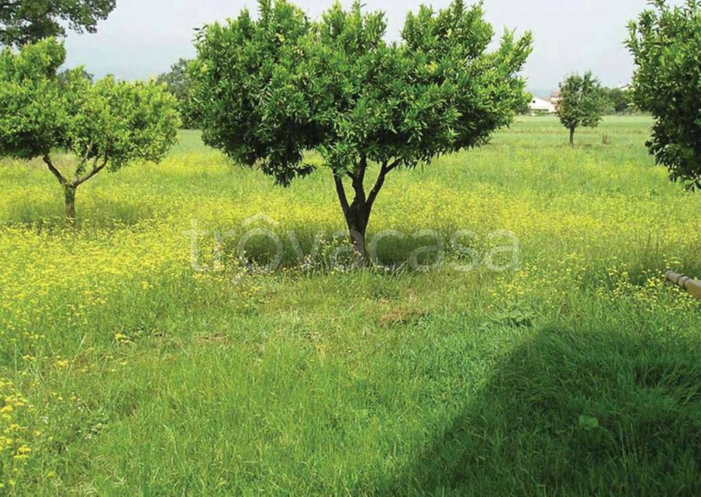 immagine annuncio 6 di 12