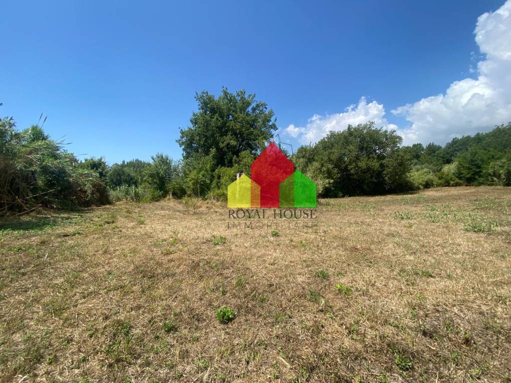 immagine annuncio 1 di 8