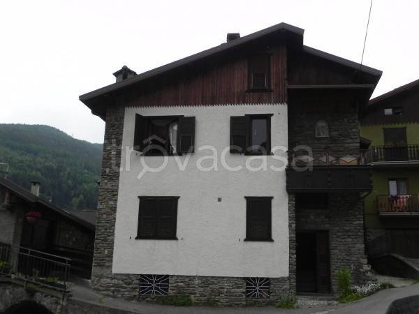 immagine annuncio 3 di 13