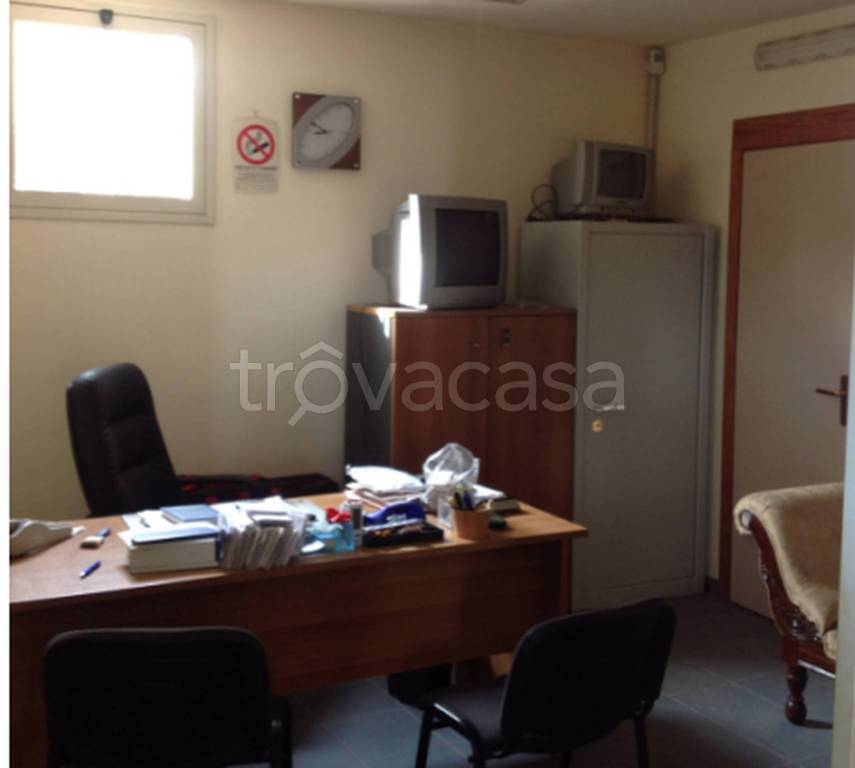 immagine annuncio 9 di 13