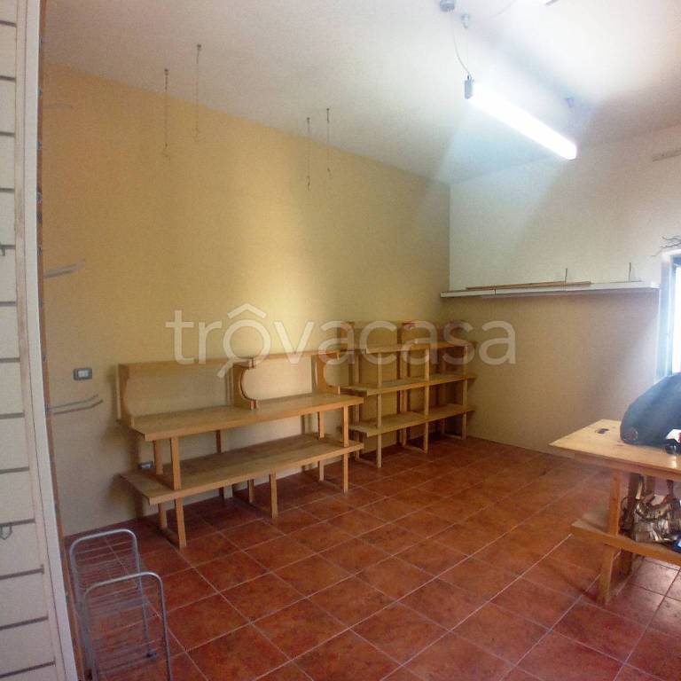 immagine annuncio 7 di 14