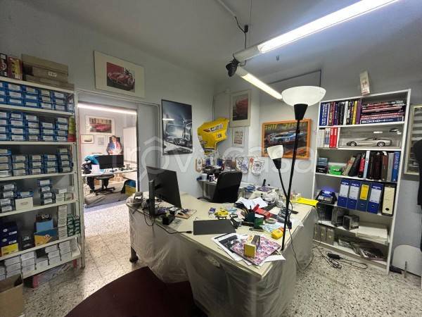 immagine annuncio 3 di 11