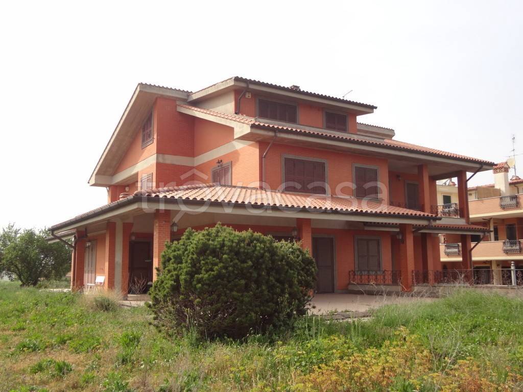 immagine annuncio 4 di 9