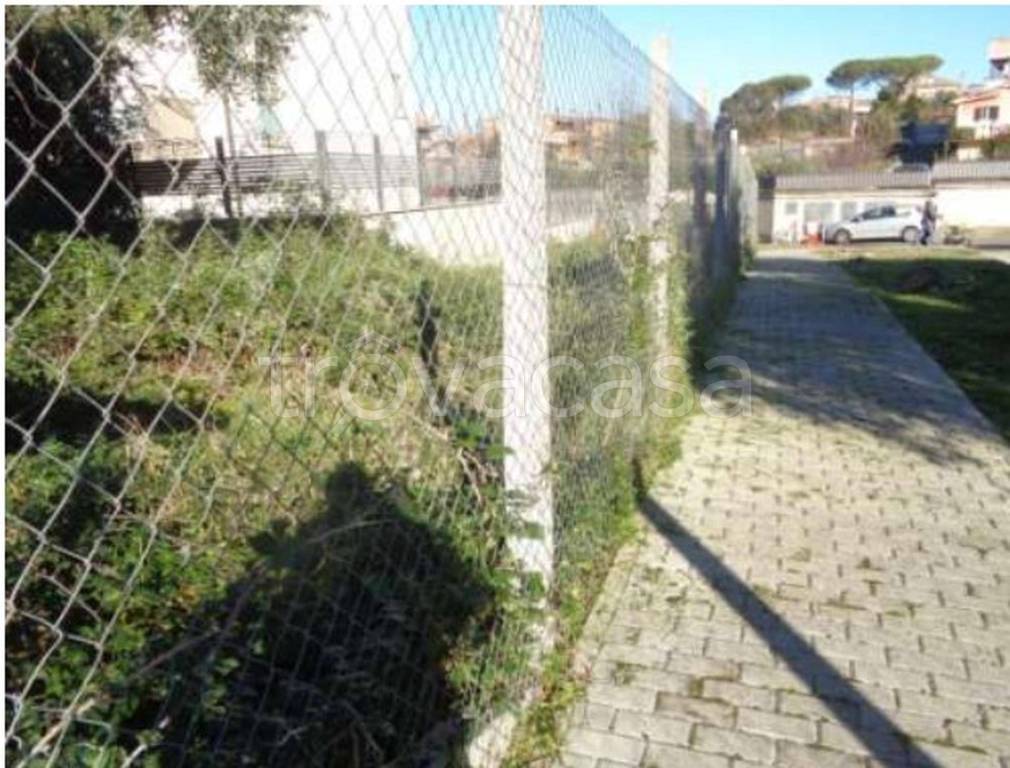 immagine annuncio 5 di 11
