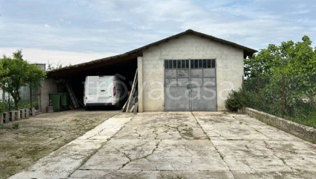 immagine annuncio 9 di 11