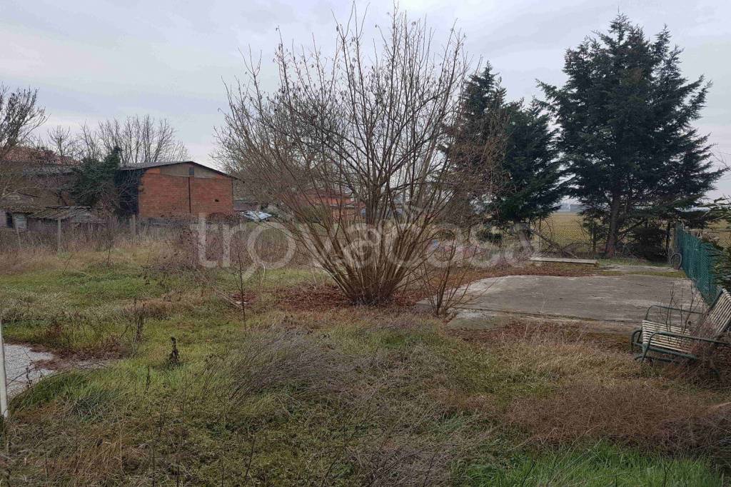 immagine annuncio 1 di 6